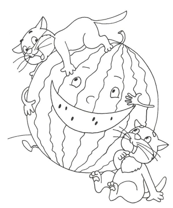 Funny Watermelon and Kittens