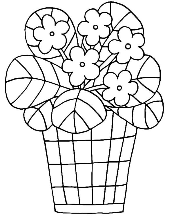 Print Flower Pot