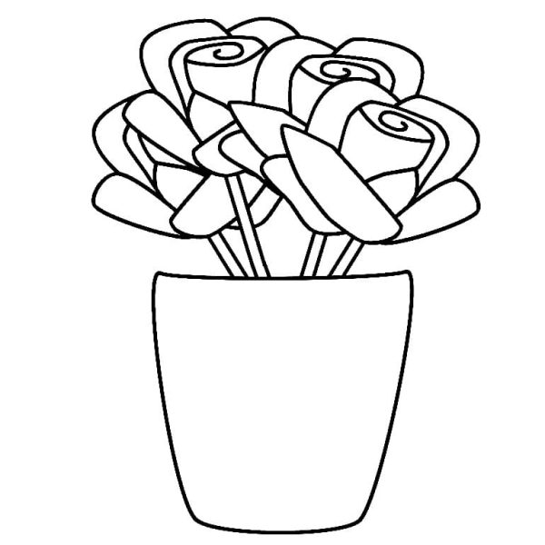 Roses in Flower Pot