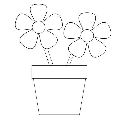 Simple Flower Pot