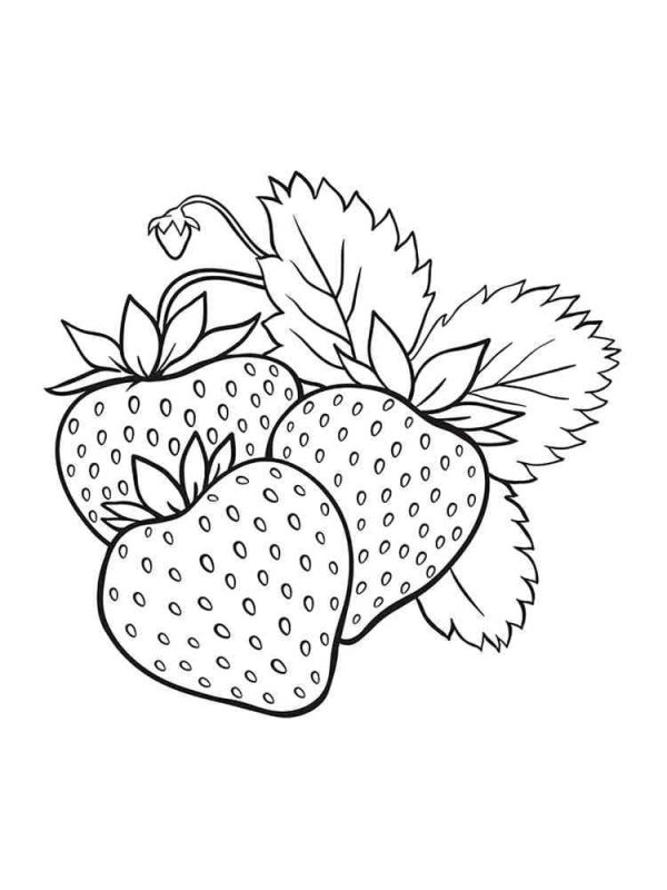Strawberries Printable For Kids