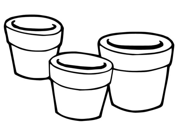 Three Flower Pots