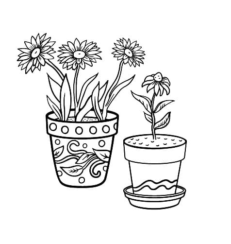 Two Flower Pots