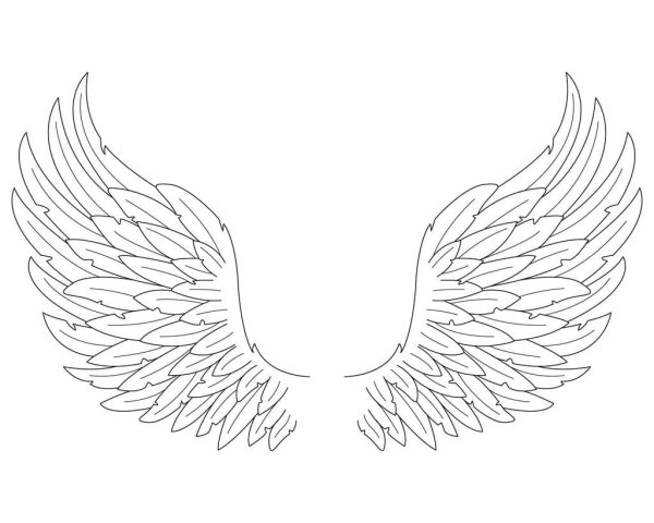 Amazing Angel Wings