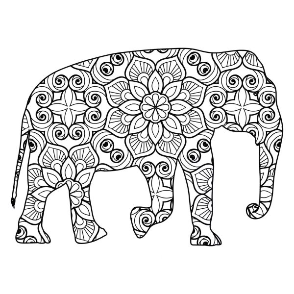 Amazing Elephant Mandala