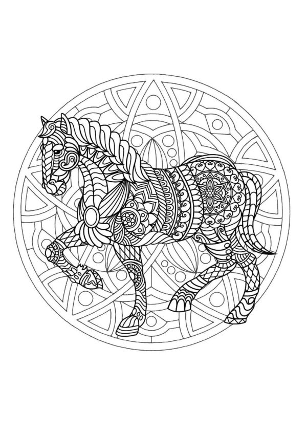 Amazing Horse Mandala