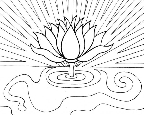 Amazing Lotus