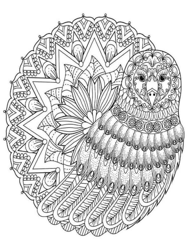 Basic Bird Mandala