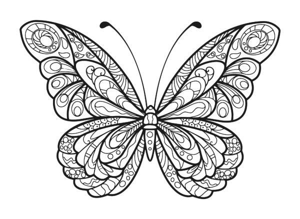 Basic Butterfly Mandala