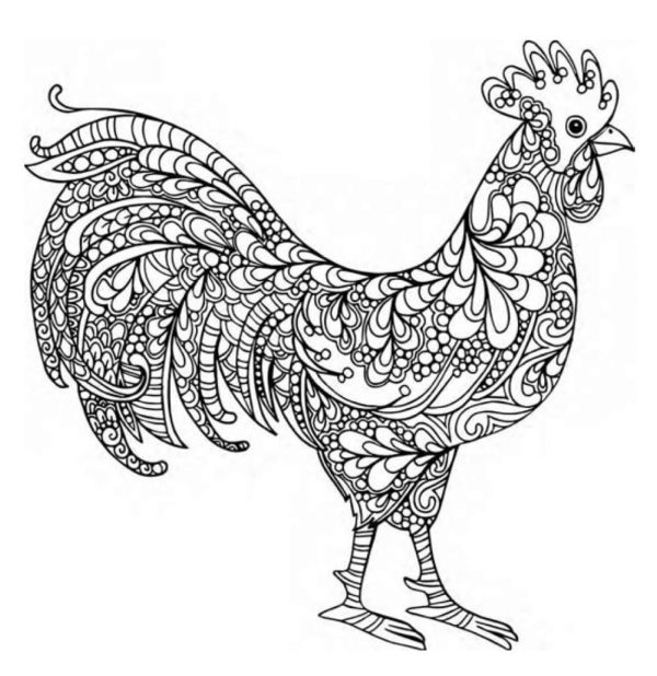 Basic Chicken Mandala