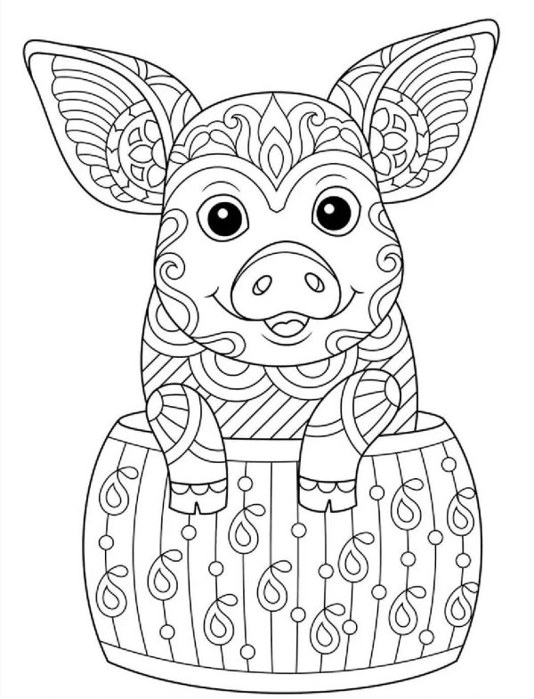 Basic Pig Mandala