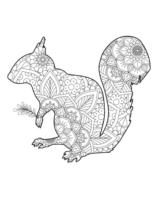 Basic Squirrel Mandala