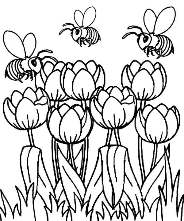 Bees and Tulips