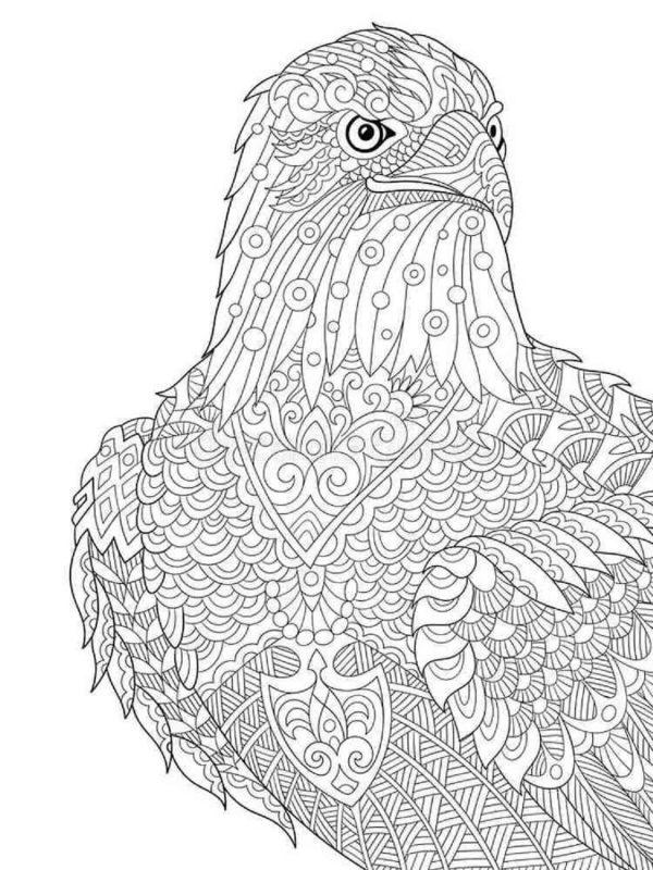 Bird Face Mandala