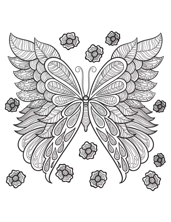 Butterfly With Flowers Mandala
