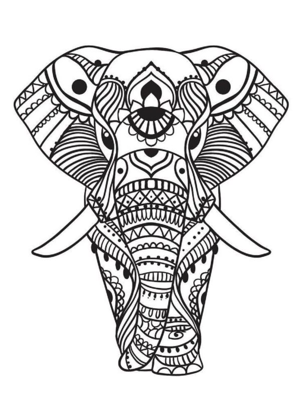 Cool Elephant Face Mandala