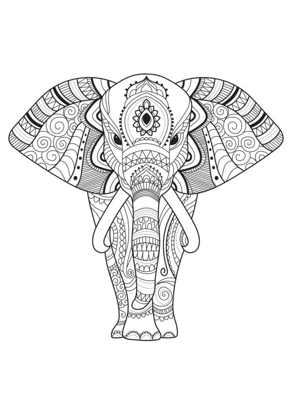 Cool Elephant Mandala