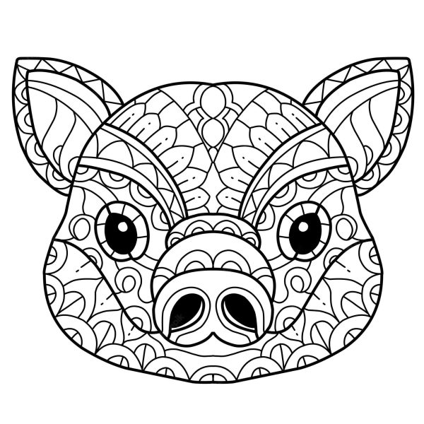 Cute Pig Head Mandala
