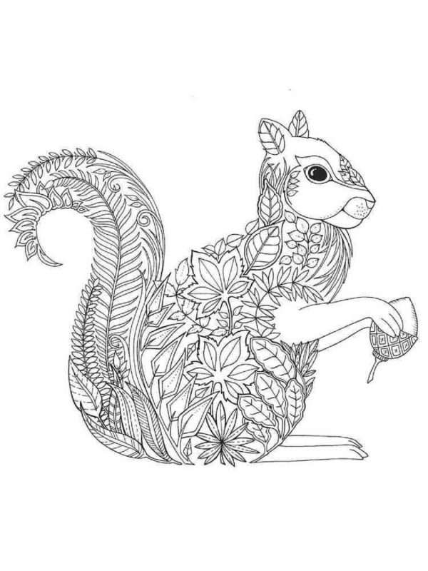 Cute Squirrel Holding Acorn Mandala