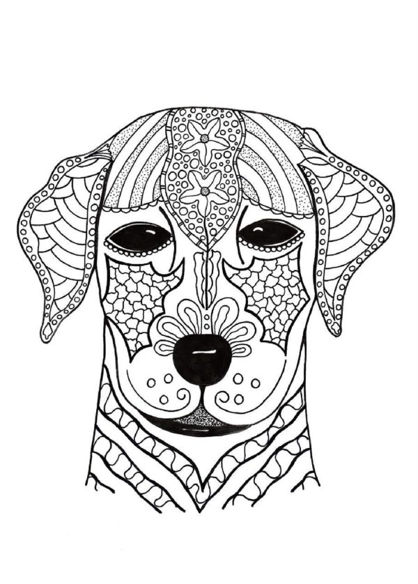 Dog Face Mandala