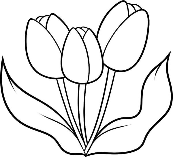 Easy Tulips