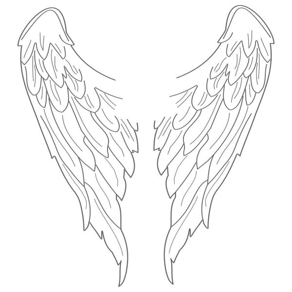 Fantastic Angel Wings