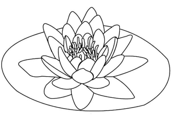Free Printable Lotus