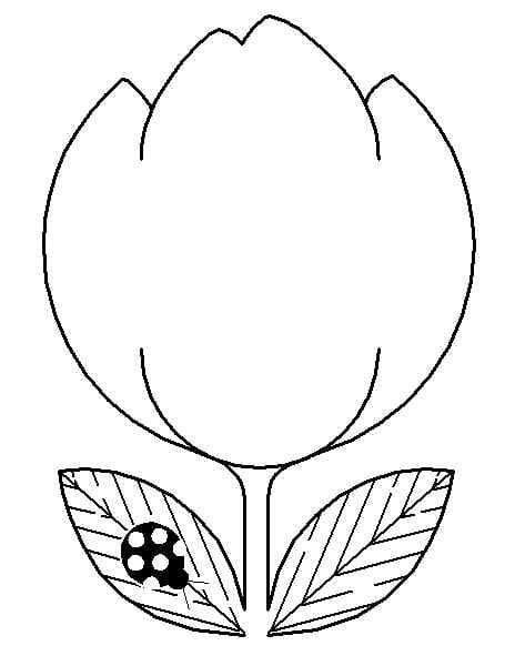 Free Printable Tulip