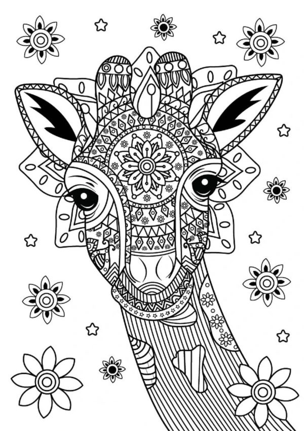 Giraffe Head With Flowers Mandala
