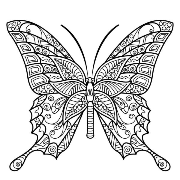 Good Butterfly Mandala