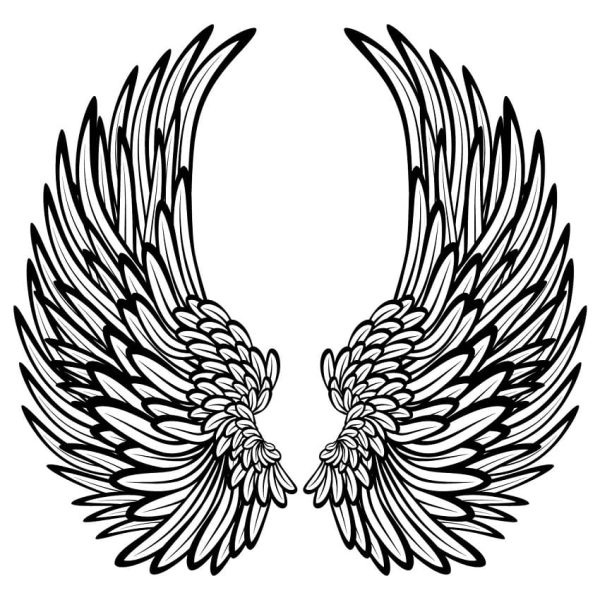 Gorgeous Angel Wings