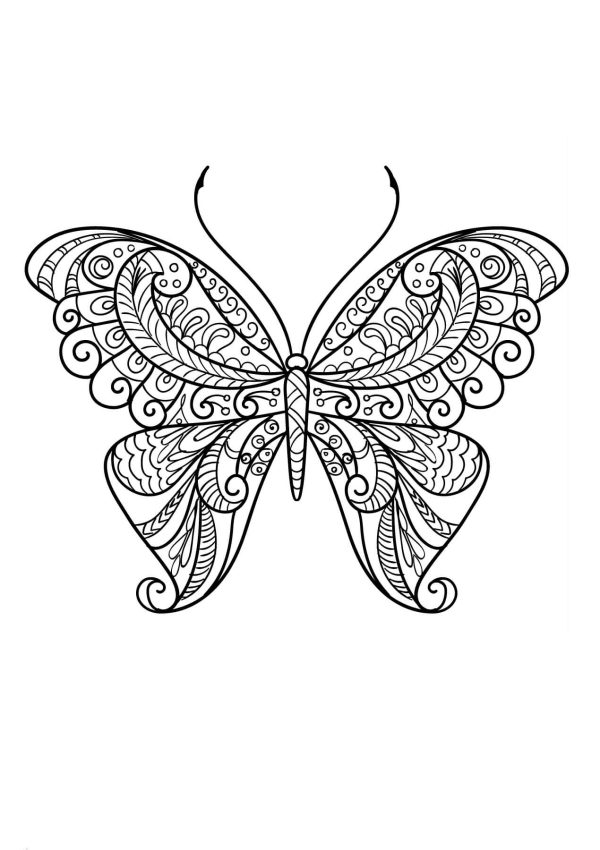 Great Butterfly Mandala