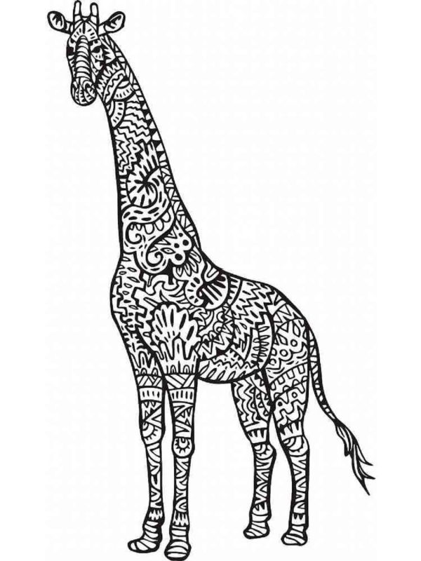 Great Giraffe Mandala