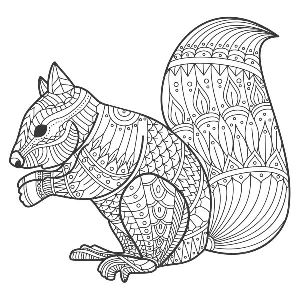 Nice Squirrel Mandala