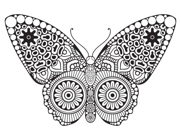 Normal Butterfly Mandala