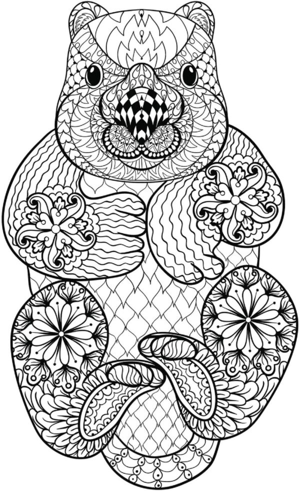 Paisley Pattern Otter Mandala