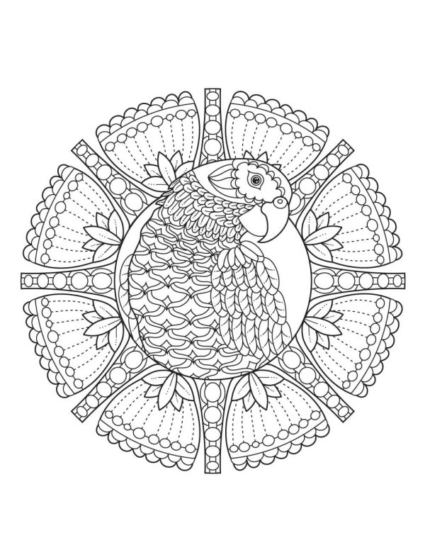 Parrot Head Mandala