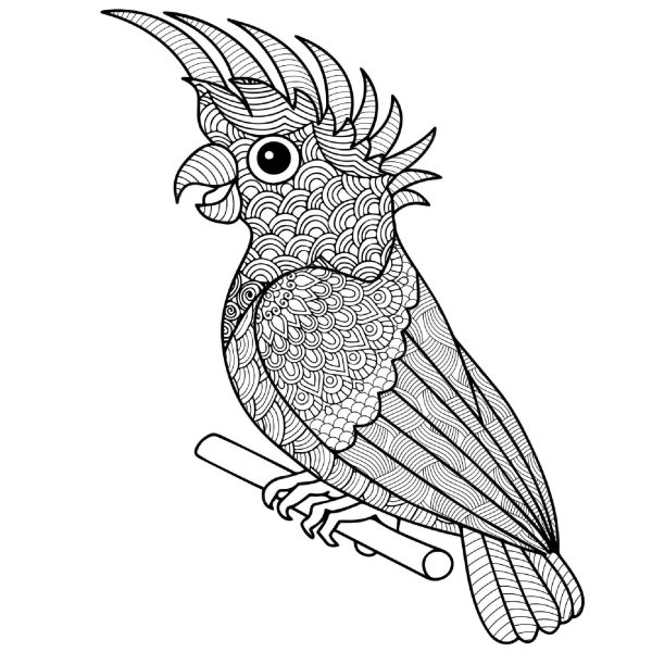 Parrot Mandala
