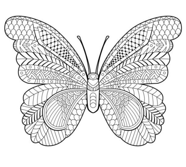 Perfect Butterfly Mandala