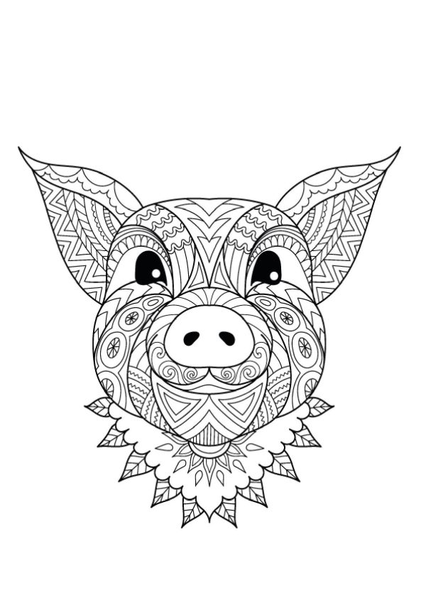Pig Head Mandala