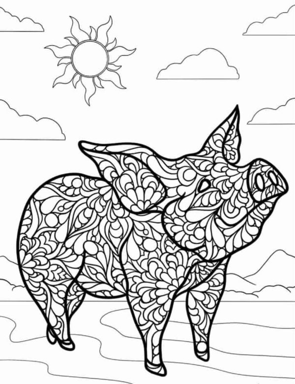 Pig With Sun Mandala