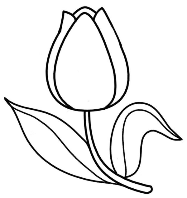 Print Tulip