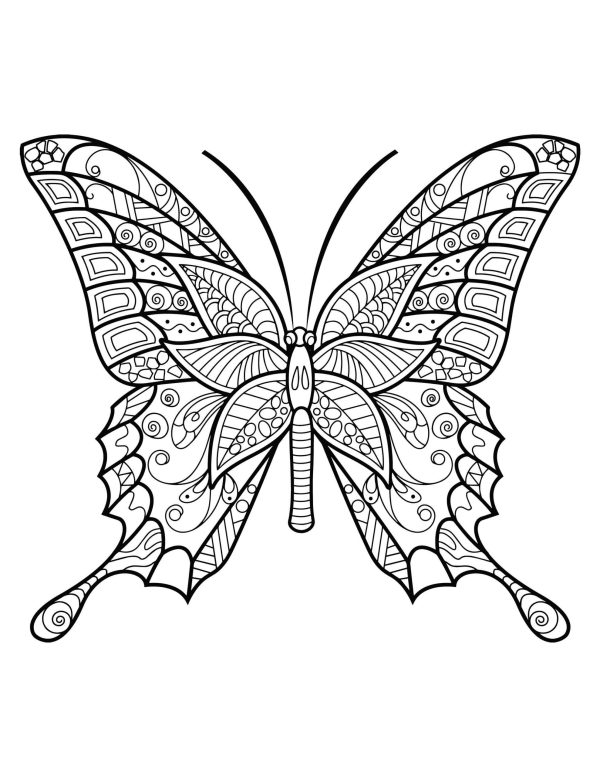 Simple Butterfly Mandala