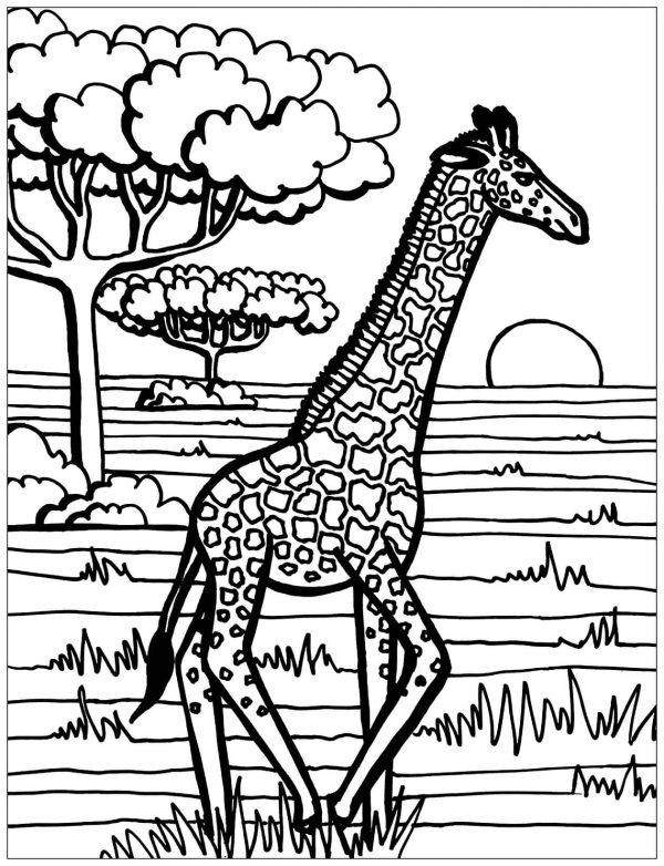 Simple Giraffe Mandala