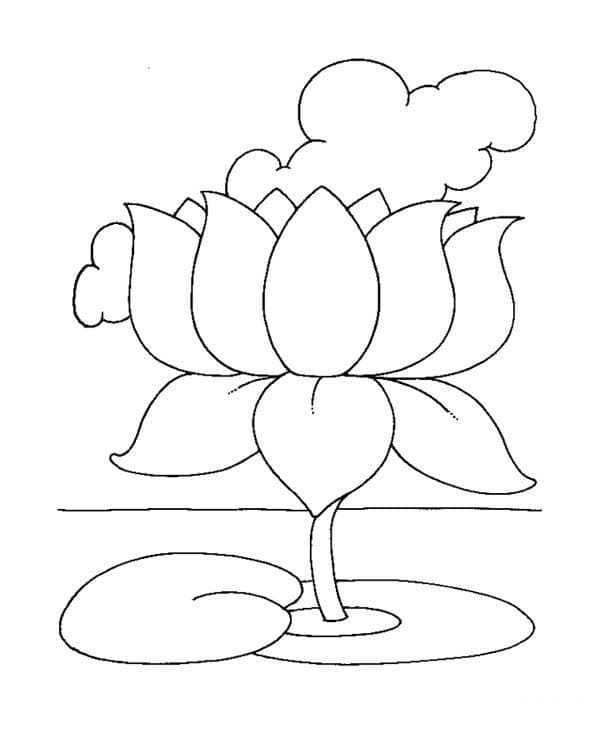 Simple Lotus