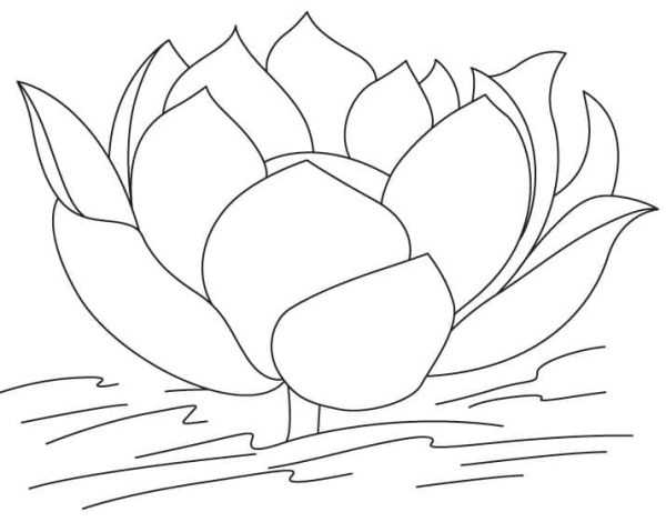 Simple Lotus Flower