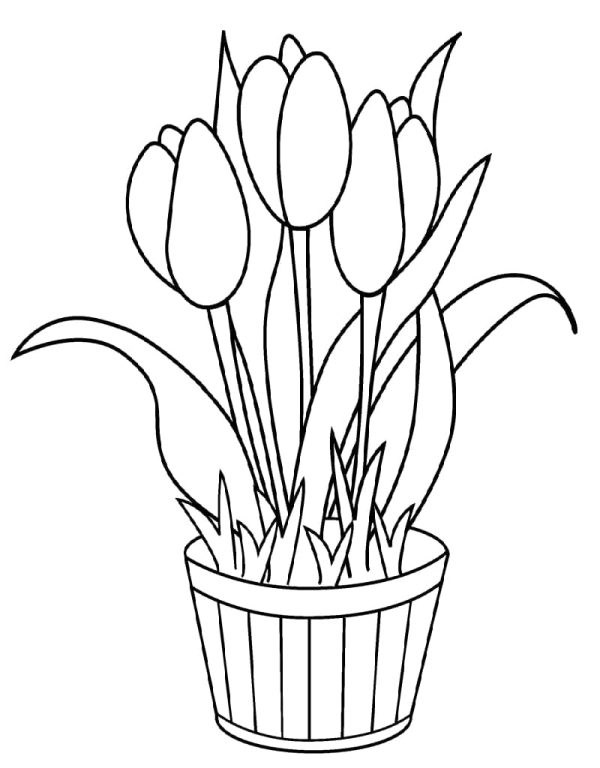 Tulips Printable