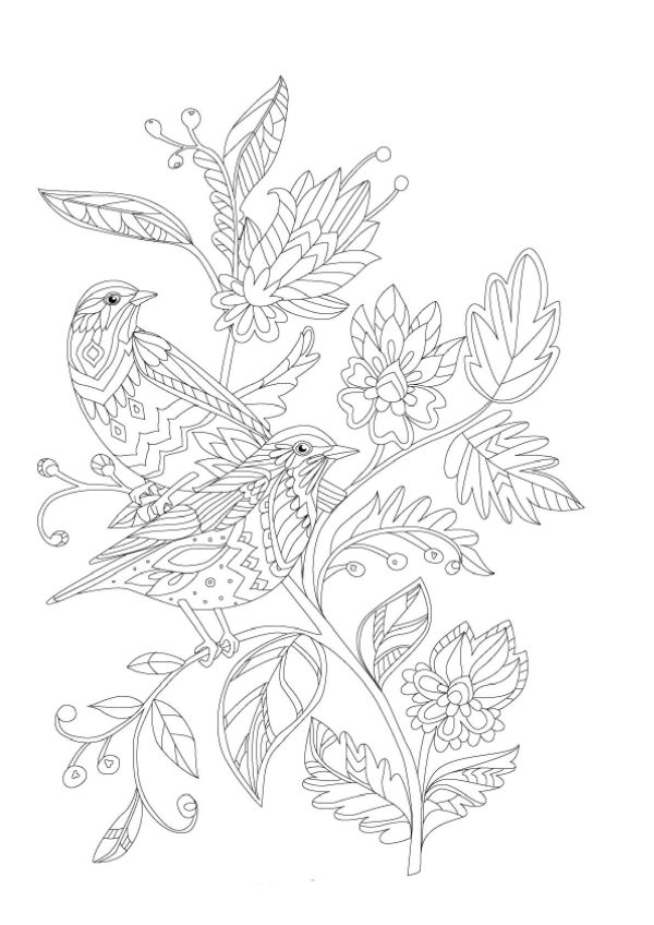 Two Birds on Branch Tree With Butterfly Mandala