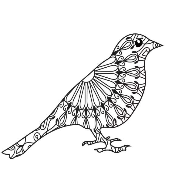 Awesome Pigeon Mandala