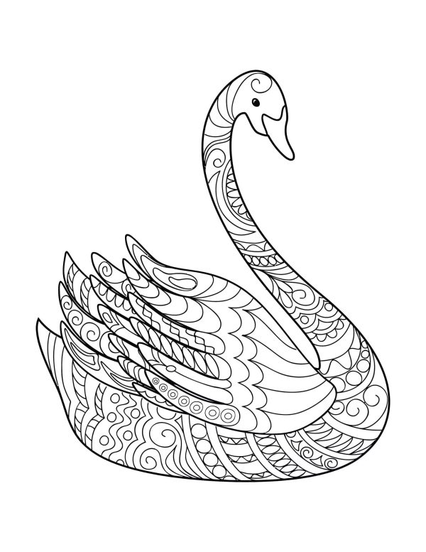 Basic Swan Mandala